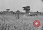 Image of tractor-drawn binder United States USA, 1919, second 53 stock footage video 65675070232