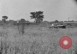 Image of tractor-drawn binder United States USA, 1919, second 54 stock footage video 65675070232
