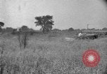 Image of tractor-drawn binder United States USA, 1919, second 55 stock footage video 65675070232