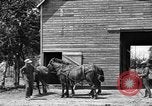 Image of horse-drawn binder United States USA, 1919, second 3 stock footage video 65675070233