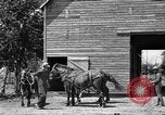 Image of horse-drawn binder United States USA, 1919, second 4 stock footage video 65675070233