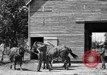 Image of horse-drawn binder United States USA, 1919, second 5 stock footage video 65675070233