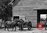 Image of horse-drawn binder United States USA, 1919, second 6 stock footage video 65675070233