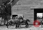 Image of horse-drawn binder United States USA, 1919, second 7 stock footage video 65675070233