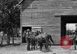 Image of horse-drawn binder United States USA, 1919, second 8 stock footage video 65675070233
