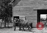 Image of horse-drawn binder United States USA, 1919, second 9 stock footage video 65675070233