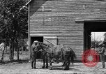 Image of horse-drawn binder United States USA, 1919, second 10 stock footage video 65675070233