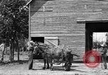 Image of horse-drawn binder United States USA, 1919, second 13 stock footage video 65675070233