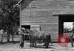 Image of horse-drawn binder United States USA, 1919, second 15 stock footage video 65675070233