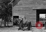 Image of horse-drawn binder United States USA, 1919, second 16 stock footage video 65675070233