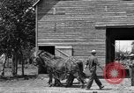 Image of horse-drawn binder United States USA, 1919, second 17 stock footage video 65675070233