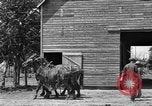 Image of horse-drawn binder United States USA, 1919, second 18 stock footage video 65675070233