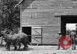 Image of horse-drawn binder United States USA, 1919, second 19 stock footage video 65675070233