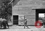 Image of horse-drawn binder United States USA, 1919, second 20 stock footage video 65675070233