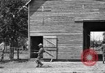 Image of horse-drawn binder United States USA, 1919, second 21 stock footage video 65675070233