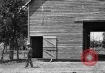 Image of horse-drawn binder United States USA, 1919, second 22 stock footage video 65675070233