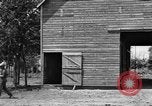 Image of horse-drawn binder United States USA, 1919, second 24 stock footage video 65675070233