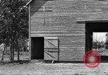 Image of horse-drawn binder United States USA, 1919, second 25 stock footage video 65675070233