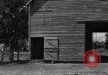 Image of horse-drawn binder United States USA, 1919, second 26 stock footage video 65675070233