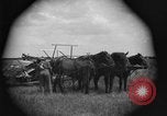 Image of horse-drawn binder United States USA, 1919, second 27 stock footage video 65675070233