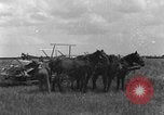 Image of horse-drawn binder United States USA, 1919, second 28 stock footage video 65675070233