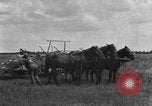 Image of horse-drawn binder United States USA, 1919, second 31 stock footage video 65675070233