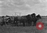 Image of horse-drawn binder United States USA, 1919, second 32 stock footage video 65675070233