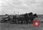 Image of horse-drawn binder United States USA, 1919, second 37 stock footage video 65675070233