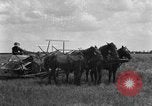 Image of horse-drawn binder United States USA, 1919, second 40 stock footage video 65675070233