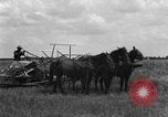Image of horse-drawn binder United States USA, 1919, second 44 stock footage video 65675070233