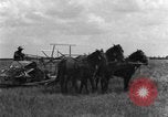 Image of horse-drawn binder United States USA, 1919, second 49 stock footage video 65675070233