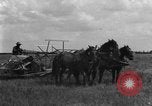 Image of horse-drawn binder United States USA, 1919, second 50 stock footage video 65675070233