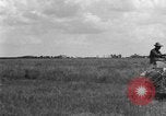 Image of horse-drawn binder United States USA, 1919, second 57 stock footage video 65675070233
