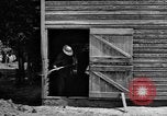 Image of horse-drawn binder United States USA, 1919, second 60 stock footage video 65675070233
