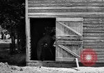 Image of horse-drawn binder United States USA, 1919, second 61 stock footage video 65675070233