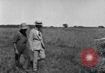 Image of Fordson tractor operating in a field United States USA, 1919, second 50 stock footage video 65675070234