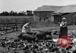 Standbild Traktor-powered Heu pressen Maschine United States USA, 1919, aus Sekunde 54 historischem Filmmaterial Videoclip 65675070235