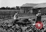 Standbild Traktor-powered Heu pressen Maschine United States USA, 1919, aus Sekunde 55 historischem Filmmaterial Videoclip 65675070235