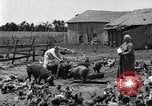 Standbild Traktor-powered Heu pressen Maschine United States USA, 1919, aus Sekunde 57 historischem Filmmaterial Videoclip 65675070235
