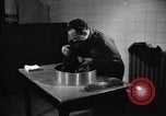 Image of baby gorilla Sinbad Chicago Illinois USA, 1948, second 38 stock footage video 65675070238