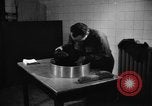 Image of baby gorilla Sinbad Chicago Illinois USA, 1948, second 39 stock footage video 65675070238