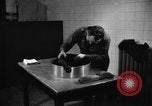 Image of baby gorilla Sinbad Chicago Illinois USA, 1948, second 40 stock footage video 65675070238