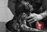 Image of baby gorilla Sinbad Chicago Illinois USA, 1948, second 59 stock footage video 65675070238
