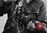 Image of baby gorilla Sinbad Chicago Illinois USA, 1948, second 60 stock footage video 65675070238