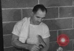 Image garçons compétition de boxe New York City USA, 1948, de la seconde 40 séquences d'archives historiques vidéo 65675070239