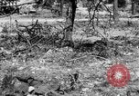 Image of American soldiers Chateau-Thierry France, 1918, second 21 stock footage video 65675070245