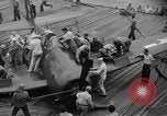 Image of F6F Hellcat fighter aircraft Manila Philippines, 1944, second 60 stock footage video 65675070252