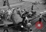 Image of F6F Hellcat fighter aircraft Manila Philippines, 1944, second 61 stock footage video 65675070252