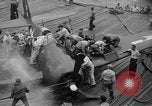 Image of F6F Hellcat fighter aircraft Manila Philippines, 1944, second 62 stock footage video 65675070252