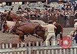 Standbild Country Fair United States USA, 1958, aus Sekunde 11 historischem Filmmaterial Videoclip 65675070275